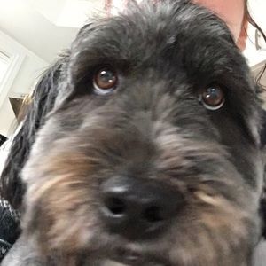 Meet your Posher, Zoé